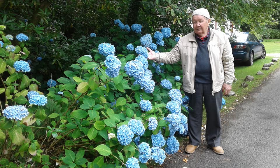 Порно секс эротика хиджаб